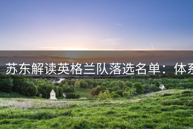 苏东解读英格兰队落选名单：体系球员价值与伤病考量